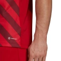 Męska koszulka Entrada 22 Graphic Jersey M HB0572 - Adidas