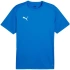 Koszulka męska Puma TeamGoal Jersey niebieska 658636 02 pánské