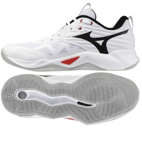 Buty Mizuno WAVE MOMENTUM PRO V1GA254059