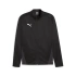 Bluza Puma TeamGoal Training Jacket M 658633 03 pánské