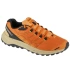 Buty do biegania Merrell Fly Strike M J068439