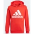 Kids Essentials Big Logo Hoodie Jr GN4037 - Adidas