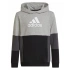 Bluza adidas Colourblock Hoodie Jr HN8563