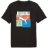 Koszulka Puma Graphics Summer Sports Tee II M 627909 01 pánské