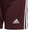 Squadra 21 Short Jr GN8081 - Adidas