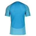 Męska koszulka piłkarska Academy M DQ5053 499 - Nike
