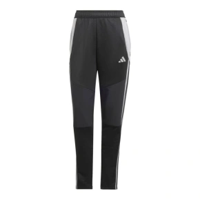 Spodnie adidas Tiro 24 Winter W IX7887 dámské