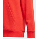 Kids Essentials Big Logo Hoodie Jr GN4037 - Adidas