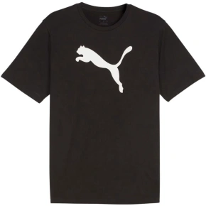 Koszulka Puma Team Rise Logo Jersey Cotton M 658705 03 pánské