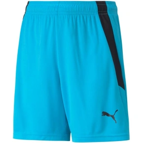 Spodenki Puma teamLIGA Shorts Jr 704931 40