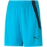 Spodenki Puma teamLIGA Shorts Jr 704931 40