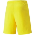 Spodenki męskie teamRISE Cyber M 704942 07 - Puma