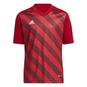 Koszulka dziecięca Entrada 22 Graphic Jersey Jr H58983 - Adidas