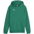 Bluza Puma Team Goal Casuals Hoddy Jr 658619 05