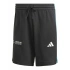 Spodenki adidas Mercedes DNA M JV5429