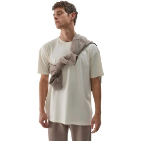 Koszulka 4F M 4FWAW25TTSHM2967 11S pánské Koszulka 4F M 4FWAW25TTSHM2967 11S pánské