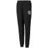 Dziecięce spodnie dresowe Alpha FL Jr 589235 01 - Puma