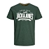 T-shirt męski Jack&Jones 12238252 koszulka na co dzień