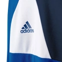 Dziecięca bluza bramkarska Assita 17 Jr AZ5404 - Adidas
