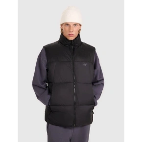 Bezrękawnik puchowy z wypełnieniem syntetycznym męski 4F 4FWAW25TVJAM229-20S Bezrękawnik puchowy z wypełnieniem syntetycznym męski 4F 4FWAW25TVJAM229-20S