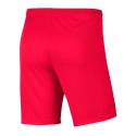 Dziecięce spodenki Park III Knit Junior BV6865-635 - Nike