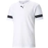 Męskie buty teamRISE M 704932 04 - Puma