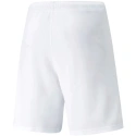 Męskie spodenki teamRISE Short M 704942 03 - Puma
