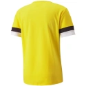 Męska koszulka treningowa teamRise Jersey M 704932 07 - Puma
