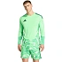 Koszulka męska adidas Tiro 26 Competition Goalkeeper Jersey Long Sleeve zielona KB5249 pánské