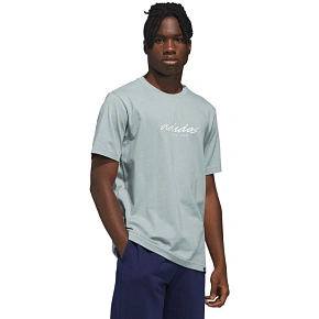 Koszulka męska adidas Color Connect Graphic szara KE1314 pánské Koszulka męska adidas Color Connect Graphic szara KE1314 pánské