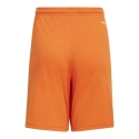 Spodenki młodzieżowe Squadra 21 GN8082 - Adidas
