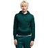 Bluza męska Puma ESS Small No.1 Logo Hoodie zielona 692914 70 pánské
