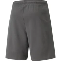 Męskie spodenki TeamRise Short M 704942 13 - Puma