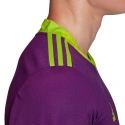 Męska bluza bramkarska AdiPro 20 GK M FI4194 - Adidas