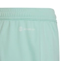 Spodenki dziecięce Entrada 22 Jr HC5058 - Adidas