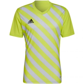 Męska koszulka Entrada 22 Graphic Jersey M HF0118 - Adidas