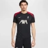 Koszulka Nike Liverpool FC Strike SS Top M FN9838-013