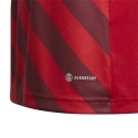 Koszulka dziecięca Entrada 22 Graphic Jersey Jr H58983 - Adidas
