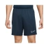 Męskie spodenki Dri-FIT Academy Shorts M DR1360-451 - Nike