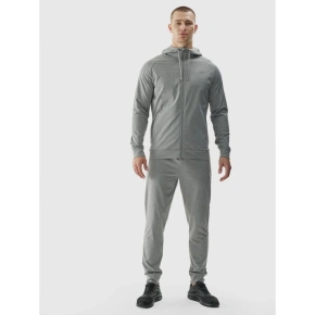 Spodnie treningowe szybkoschnące męskie 4F 4FWAW24TFTRM681-25M