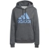 Buty damskie Big Logo FL R HD W IC9845 - Adidas