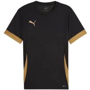 Koszulka Puma teamGoal Matchday Jersey M 705747 28 pánské