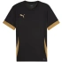 Koszulka Puma teamGoal Matchday Jersey M 705747 28 pánské