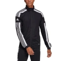 Męskie buty treningowe Squadra 21 Training M GK9546 - Adidas