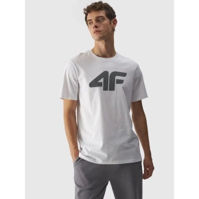 T-shirt regular z nadrukiem męski 4F 4FWMM00TTSHM1844-10S pánské