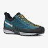 Scarpa MESCALITO GTX