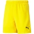 Dziecięce spodenki teamRise Short Jr 704943 07 - Puma