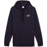 Bluza Puma Ess 2 Color Small No.1 Logo Hoodie TR M 684719 16 pánské