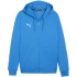 Bluza Puma Team Goal Casuals Hooded M 658595 02 pánské
