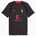 Koszulka Puma AC Milan Training JSY 786639-20